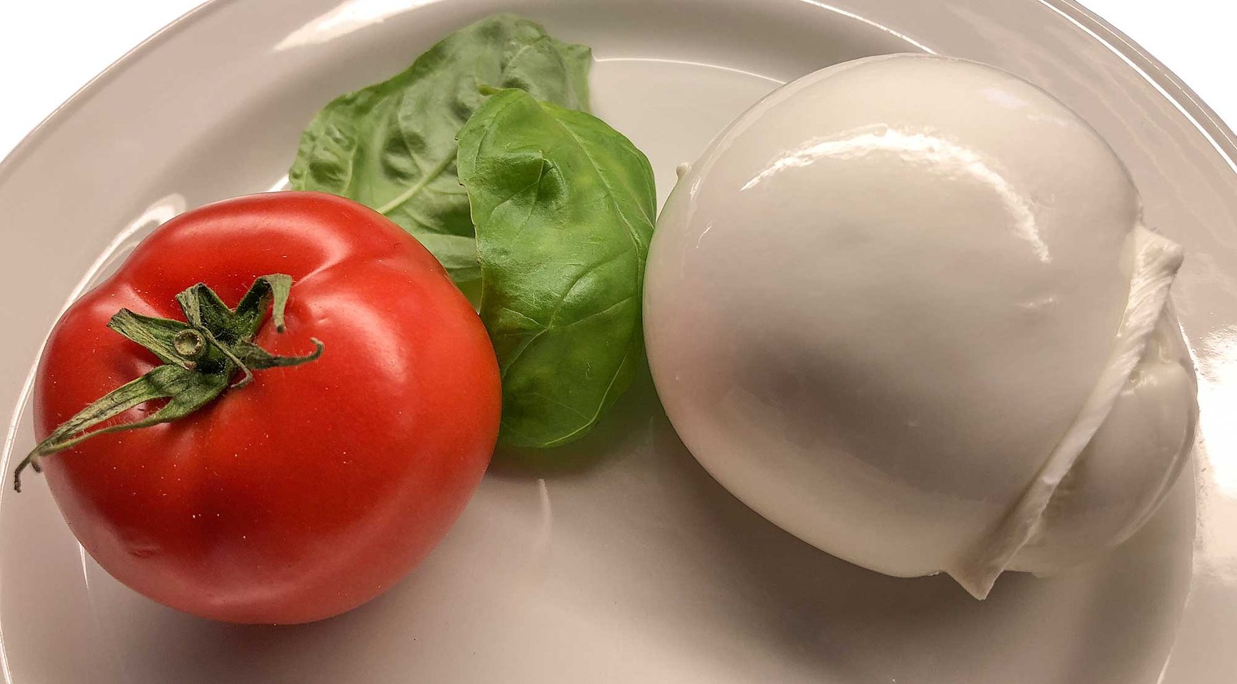 Mozzarella di bufala su un piatto bianco, con pomodoro e basilico