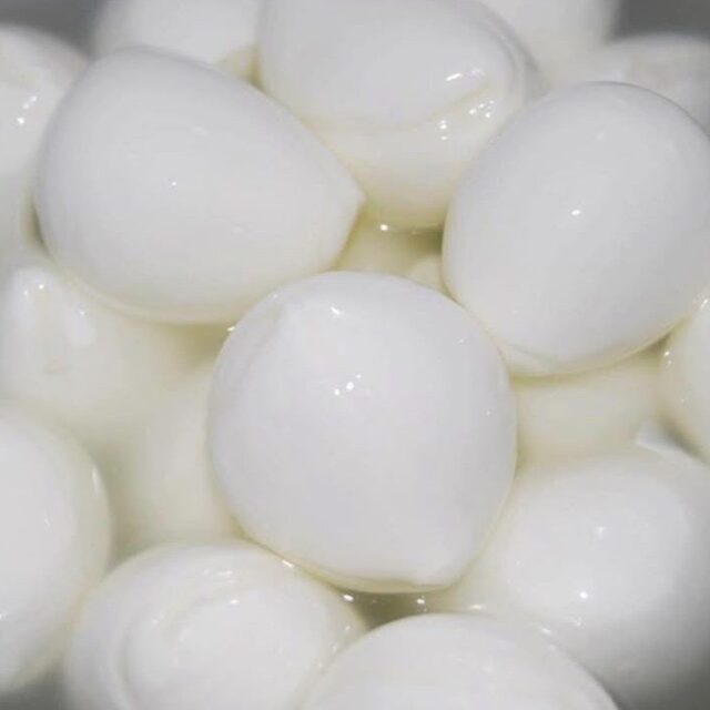 Bocconi di latte di bufala
