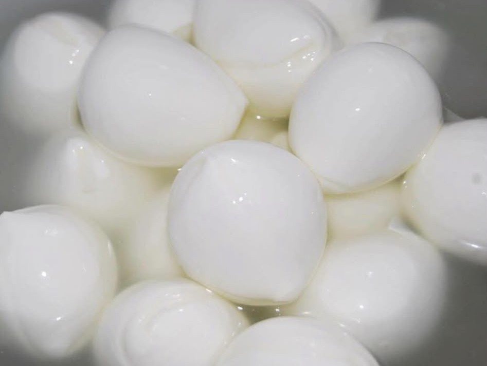 Bocconi di latte di bufala