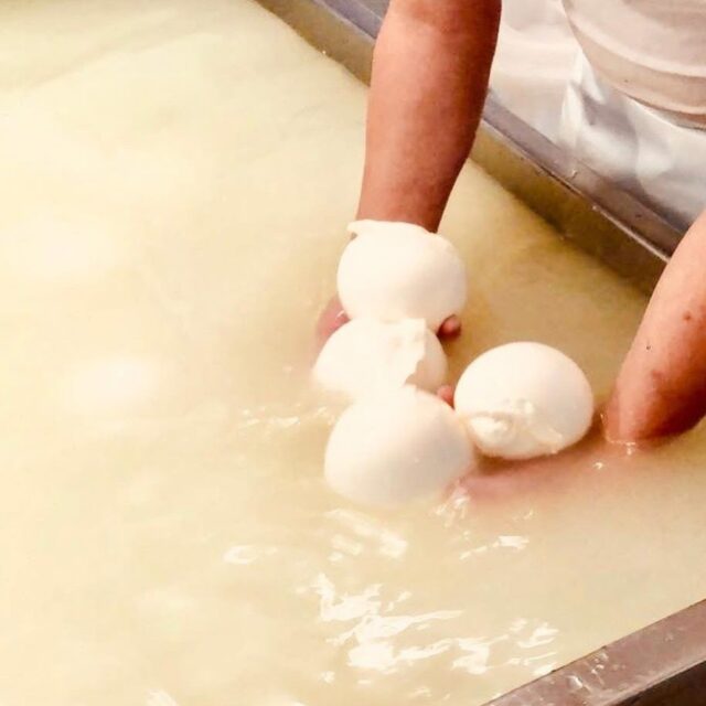 Mozzarella di latte di bufala