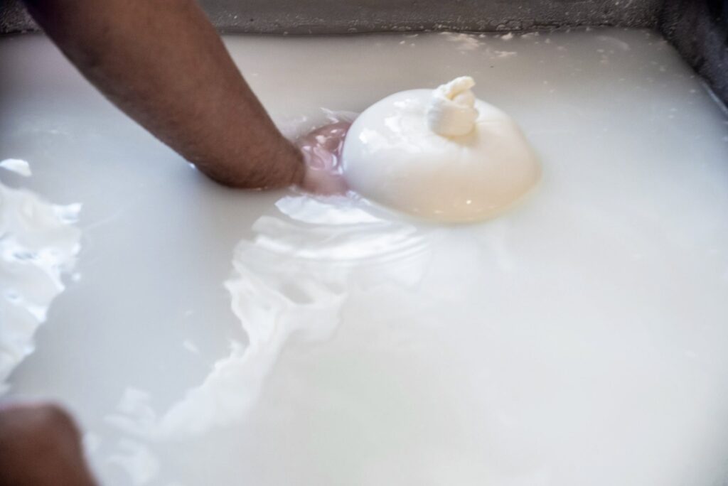 Mozzarella «prena» di latte di bufala